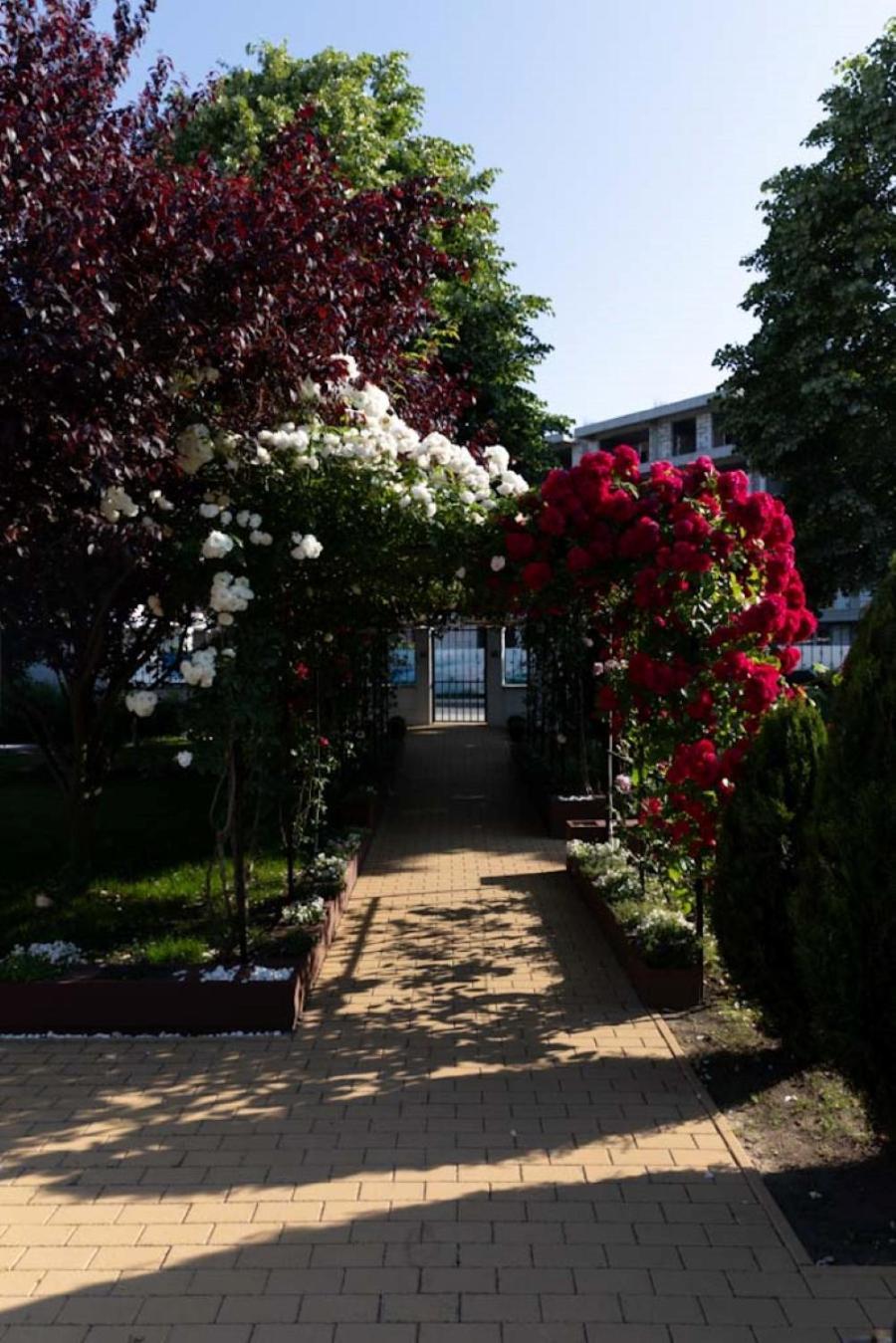 Anca Hotel Сатурн Екстериор снимка